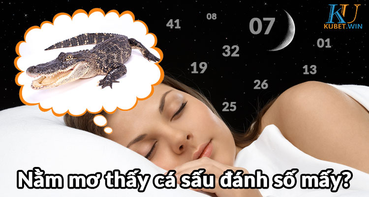 nằm mơ thấy cá sấu đánh số mấy